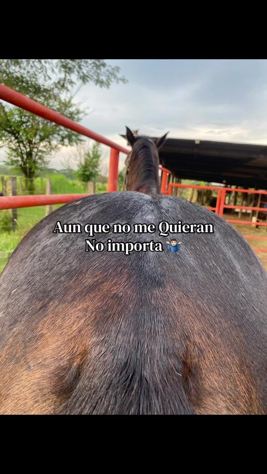 TikTok video thumbnail by jose_andres204