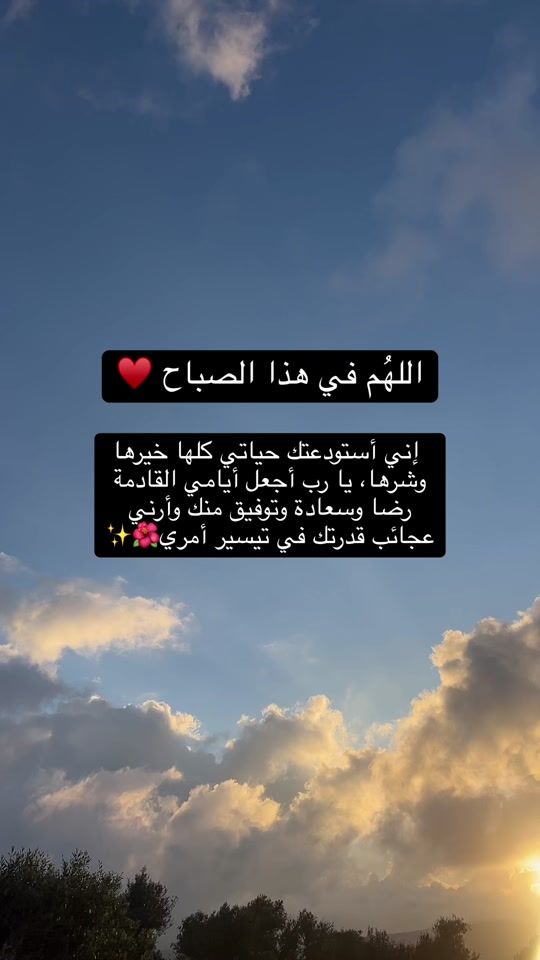 TikTok video thumbnail by raneendabbah