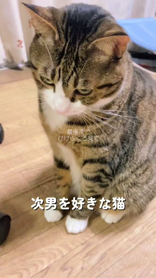 TikTok video thumbnail by kyuta3