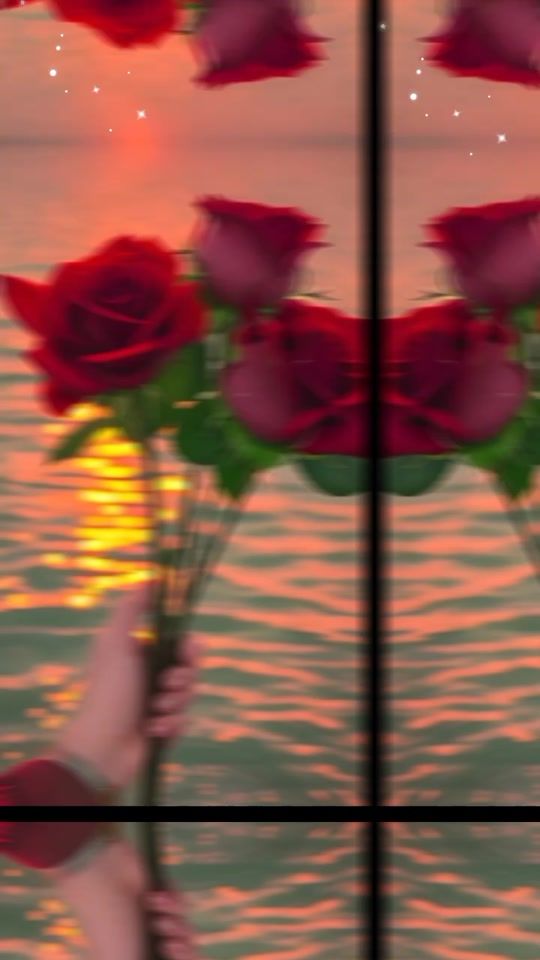 TikTok video thumbnail by elsateka839