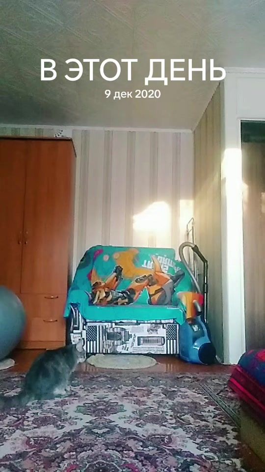 TikTok video thumbnail by vilka631