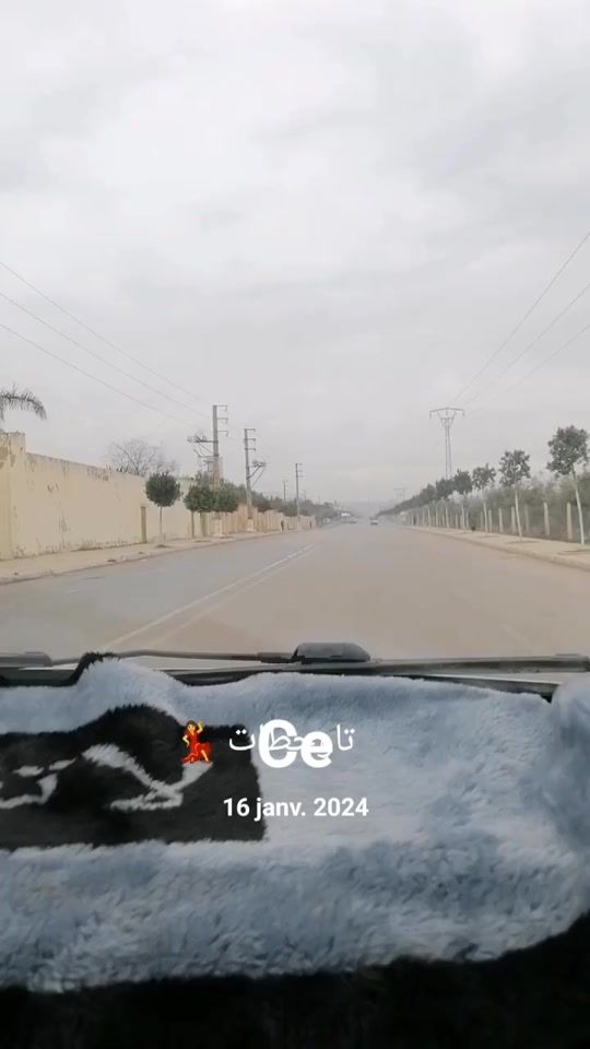 TikTok video thumbnail by samat334