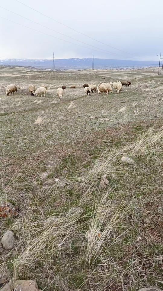 TikTok video thumbnail by rustamsloyan3