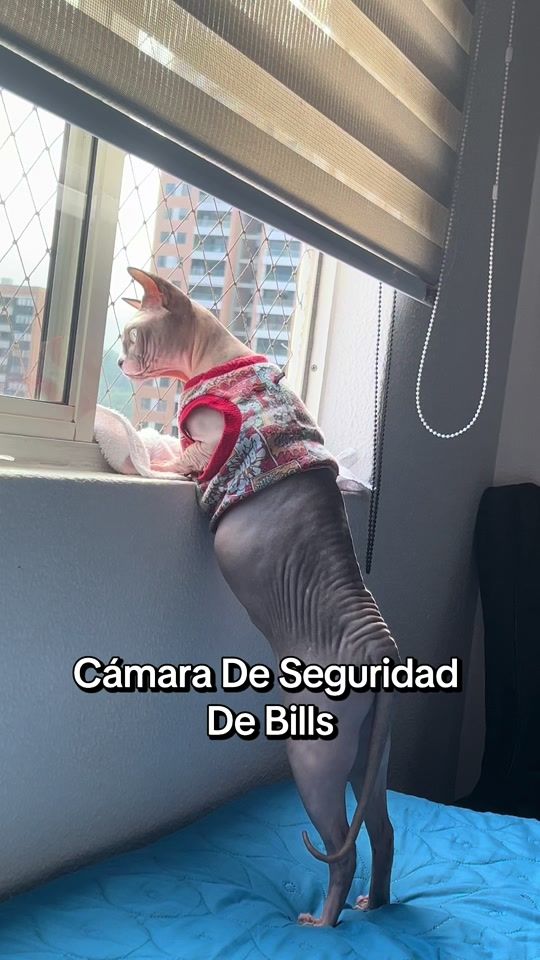 TikTok video thumbnail by don_esfinge