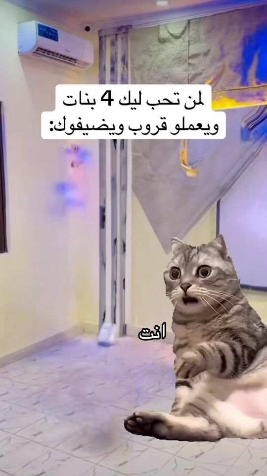 TikTok video thumbnail by bmw09249