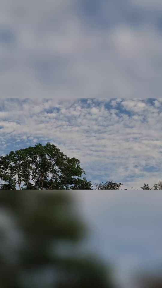 TikTok video thumbnail by user6946202040294
