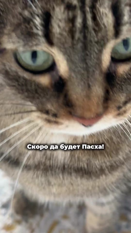 TikTok video thumbnail by mularen.a
