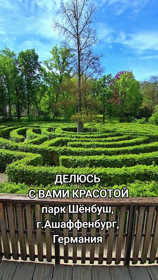 TikTok video thumbnail by user1562319001733