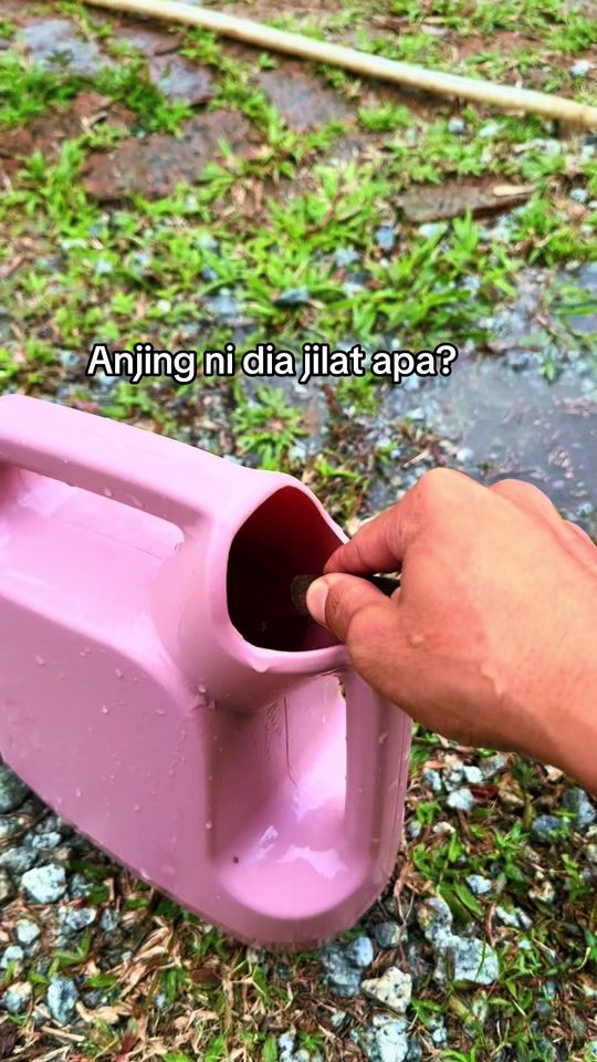 TikTok video thumbnail by lulumulus