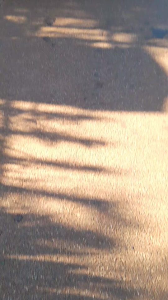TikTok video thumbnail by smalliesmkhonta