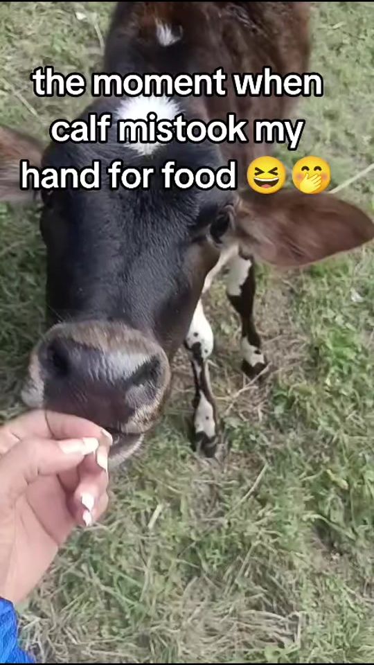 TikTok video thumbnail by blueish_18