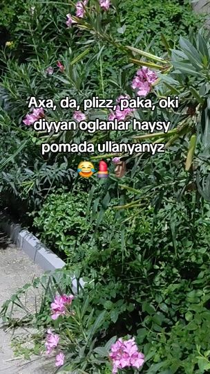 TikTok video thumbnail by herkimdal_men