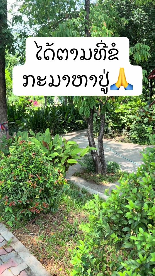 TikTok video thumbnail by fb_thipfennymaniphone