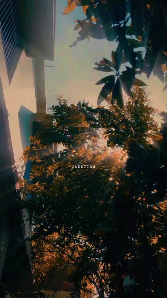 TikTok video thumbnail by jass_zz64