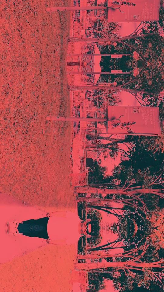 TikTok video thumbnail by jalal.sg23