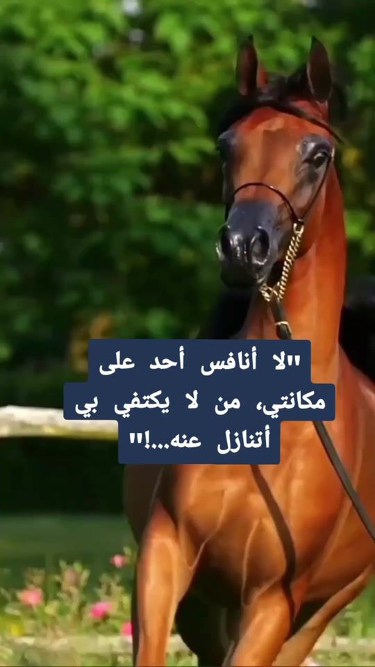 TikTok video thumbnail by taj515.1.3.6