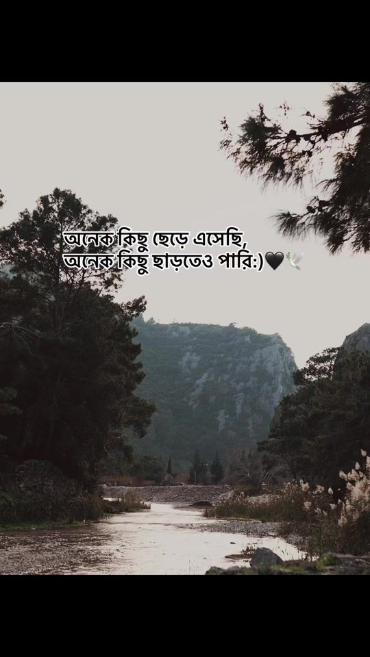 TikTok video thumbnail by ln_limon_13