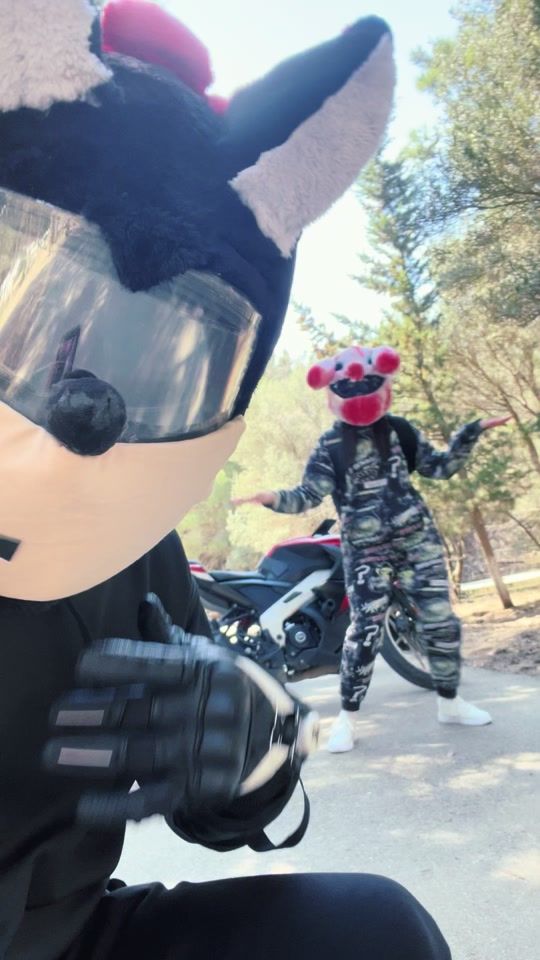 TikTok video thumbnail by cat_courierr