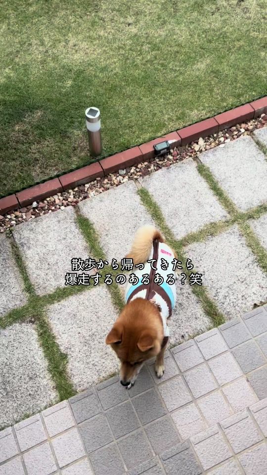 TikTok video thumbnail by yucayuca12