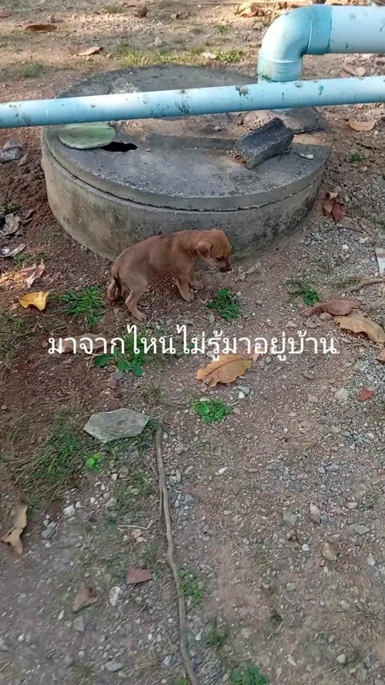 TikTok video thumbnail by lekcz1