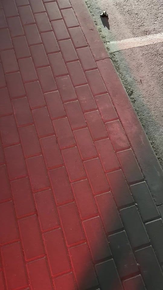 TikTok video thumbnail by savchik_k1