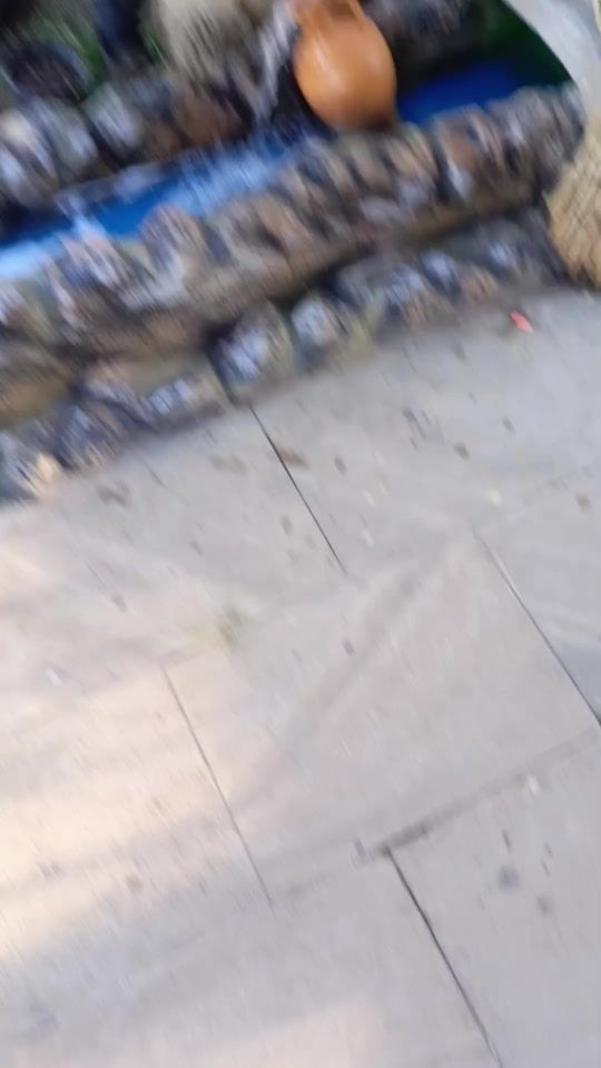 TikTok video thumbnail by elmeddinusda1