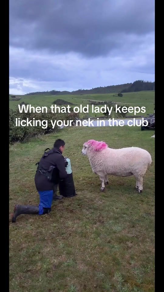 TikTok video thumbnail by mikaerabro