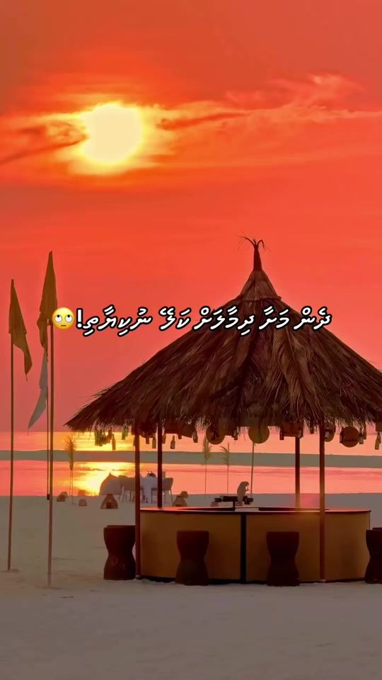TikTok video thumbnail by zz_imm