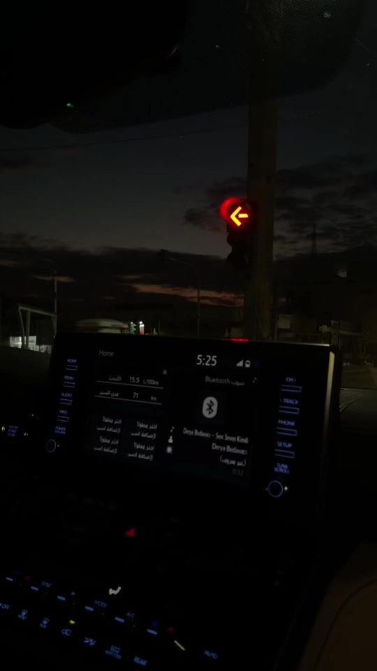 TikTok video thumbnail by chnarii.world
