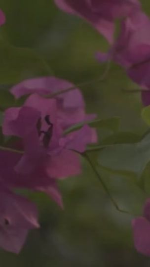 TikTok video thumbnail by barhama321