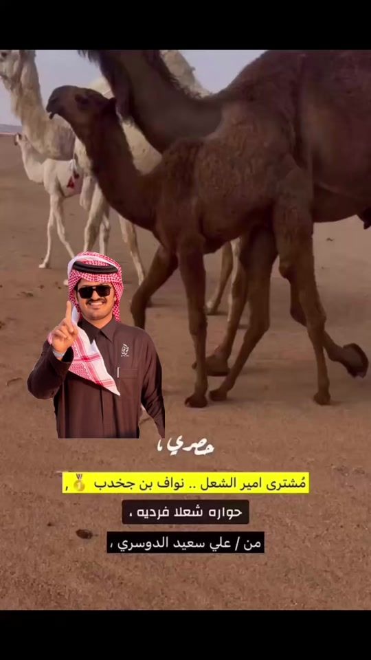 TikTok video thumbnail by nq97w_