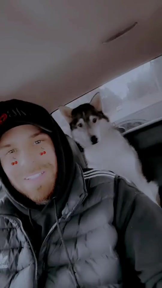 TikTok video thumbnail by franknolimits