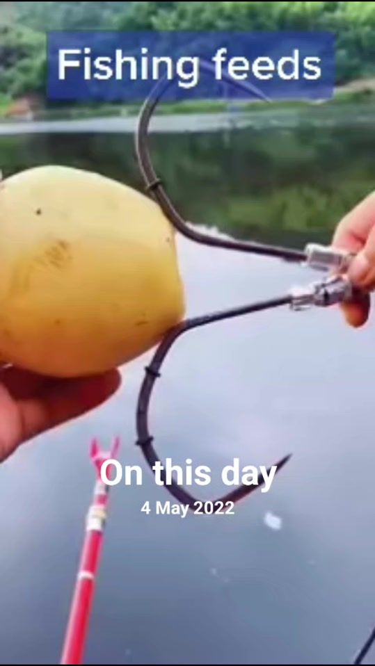 TikTok video thumbnail by fishingteeps