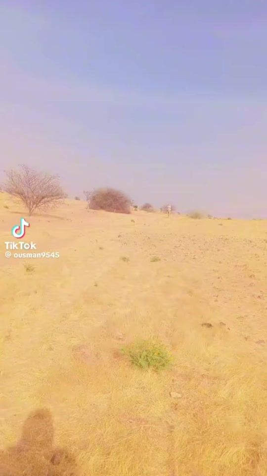 TikTok video thumbnail by toum.toum95