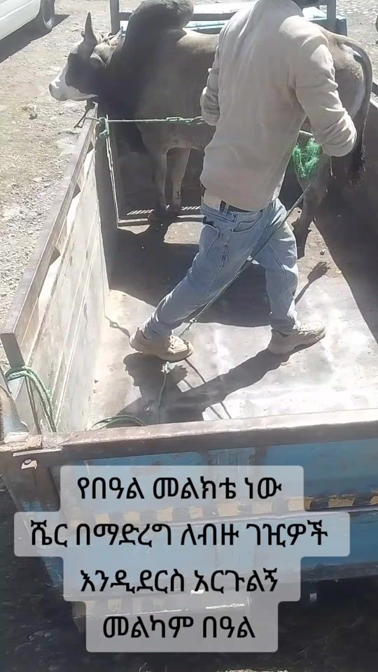 TikTok video thumbnail by robelteshome3
