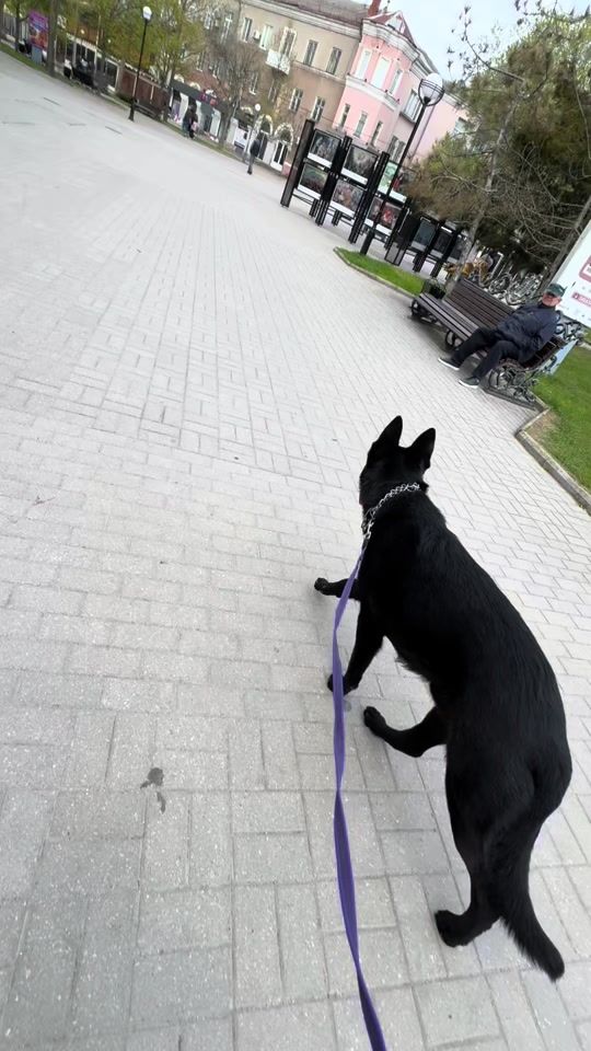 TikTok video thumbnail by .agro.german