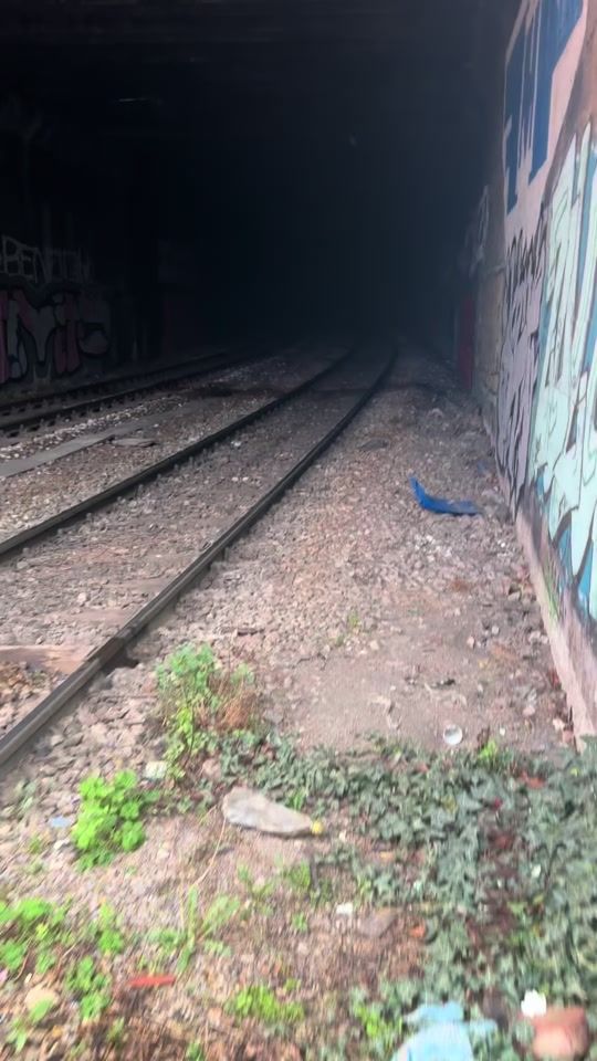 TikTok video thumbnail by viol3ntdreams