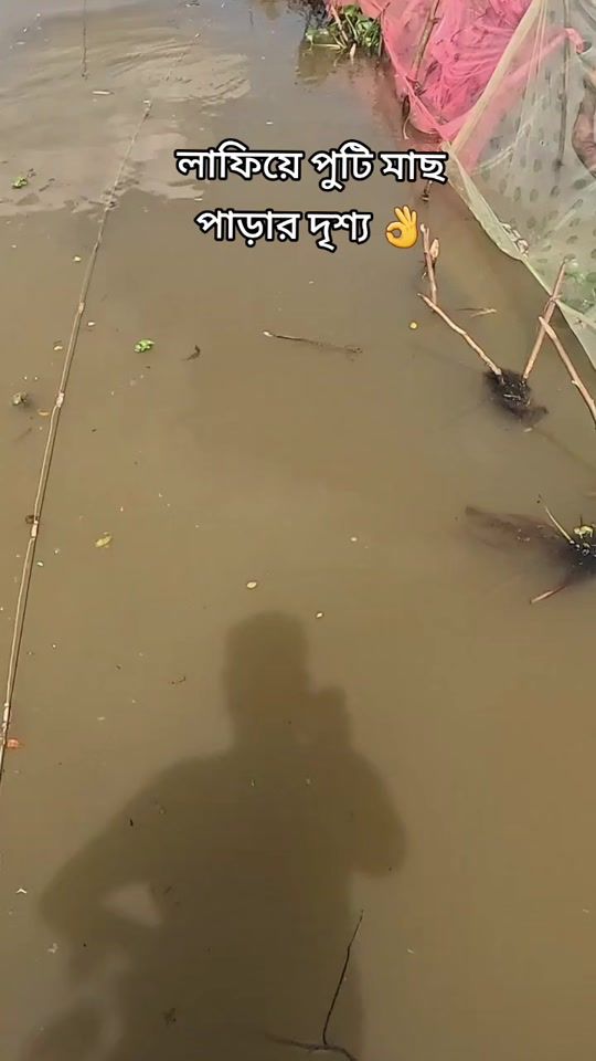 TikTok video thumbnail by mdshanu013