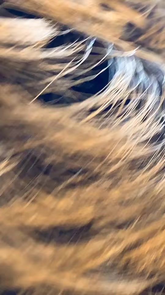 TikTok video thumbnail by moza__look