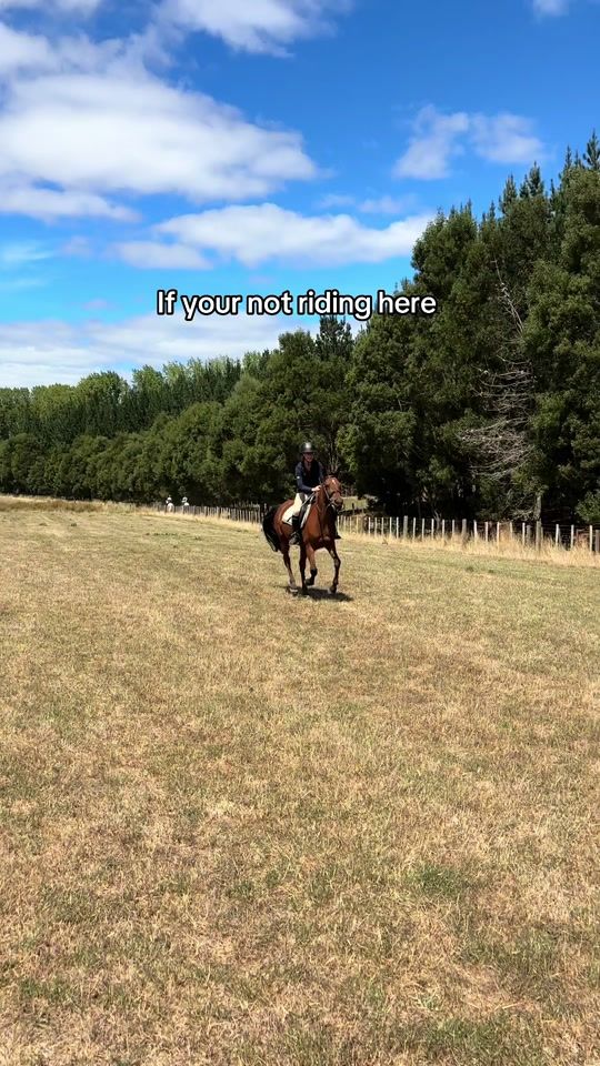 TikTok video thumbnail by sophie.eqspam