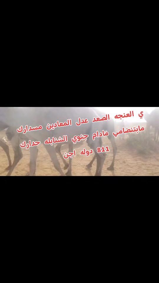 TikTok video thumbnail by user11667935008174