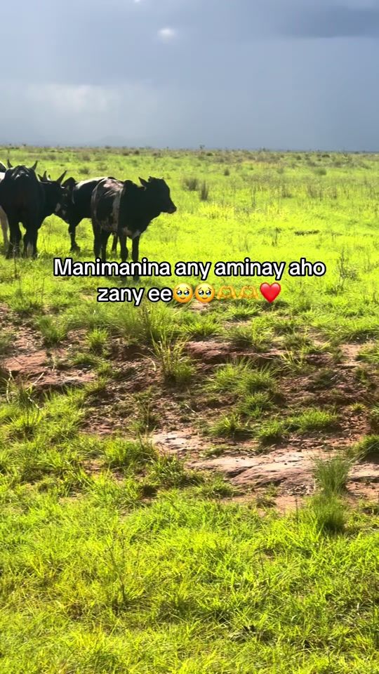 TikTok video thumbnail by niriarivony.50