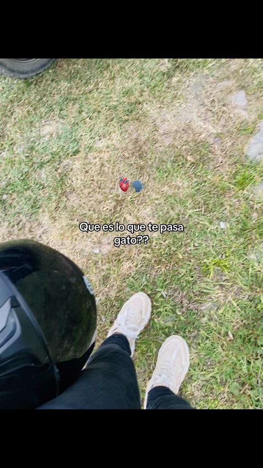 TikTok video thumbnail by 124hernandez5