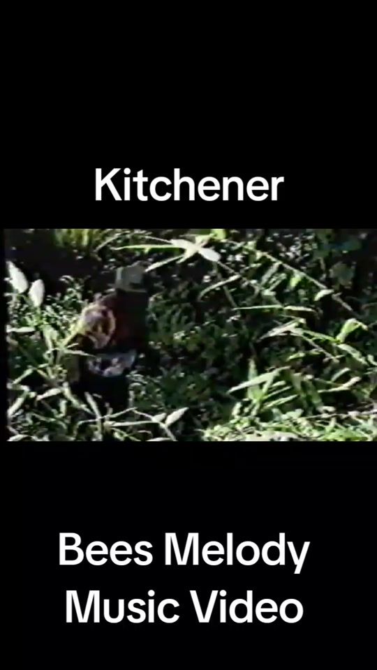 TikTok video thumbnail by thevintageexpert