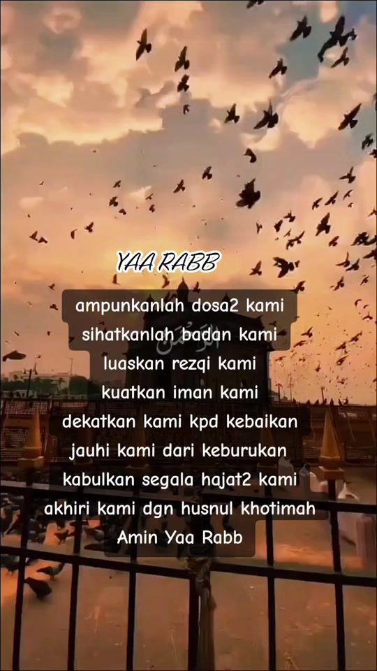 TikTok video thumbnail by lailas2023