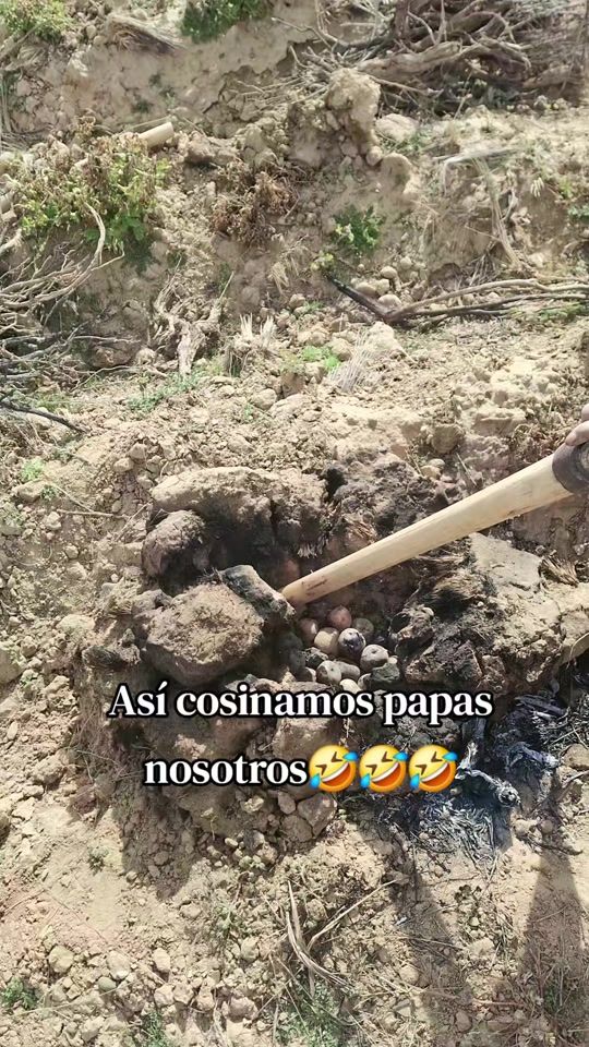 TikTok video thumbnail by guarachibeneranda