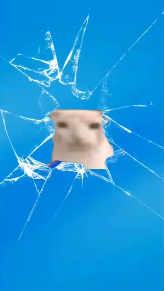 TikTok video thumbnail by gatonormal0