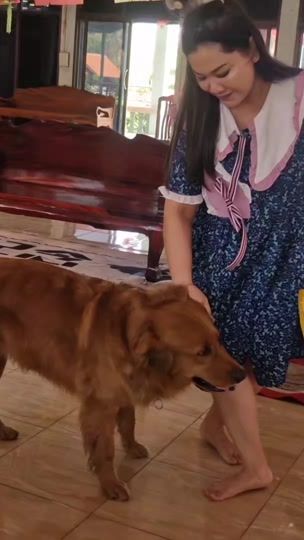 TikTok video thumbnail by sakon9158