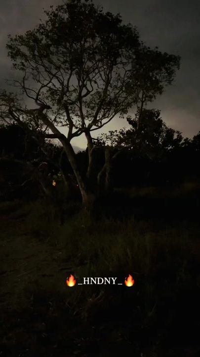 TikTok video thumbnail by ____sktr_aash____
