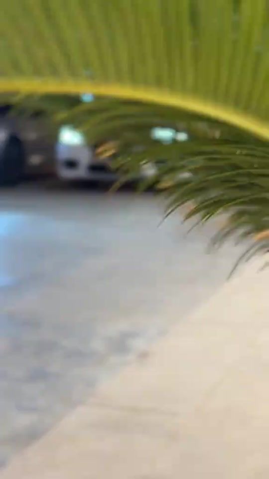 TikTok video thumbnail by md.6md
